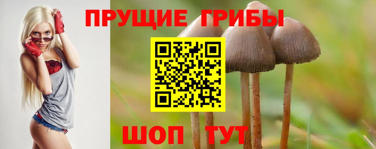 Амурск  Галлюциногенные грибы MAGIC MUSHROOMS  как найти наркотики  Вход с VPN  Псилоцибиновые грибы Psilocybe 